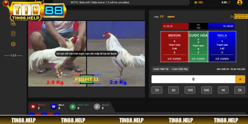 Nhà cái phát trực tiếp các trận đá gà bằng công nghệ live hiện đại cực nét
